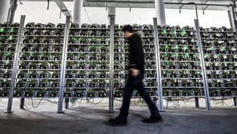 Modern green crypto mining farm utilizing renewable energy