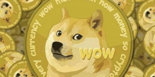 Dogecoin miners using solar energy to power their mining rigs